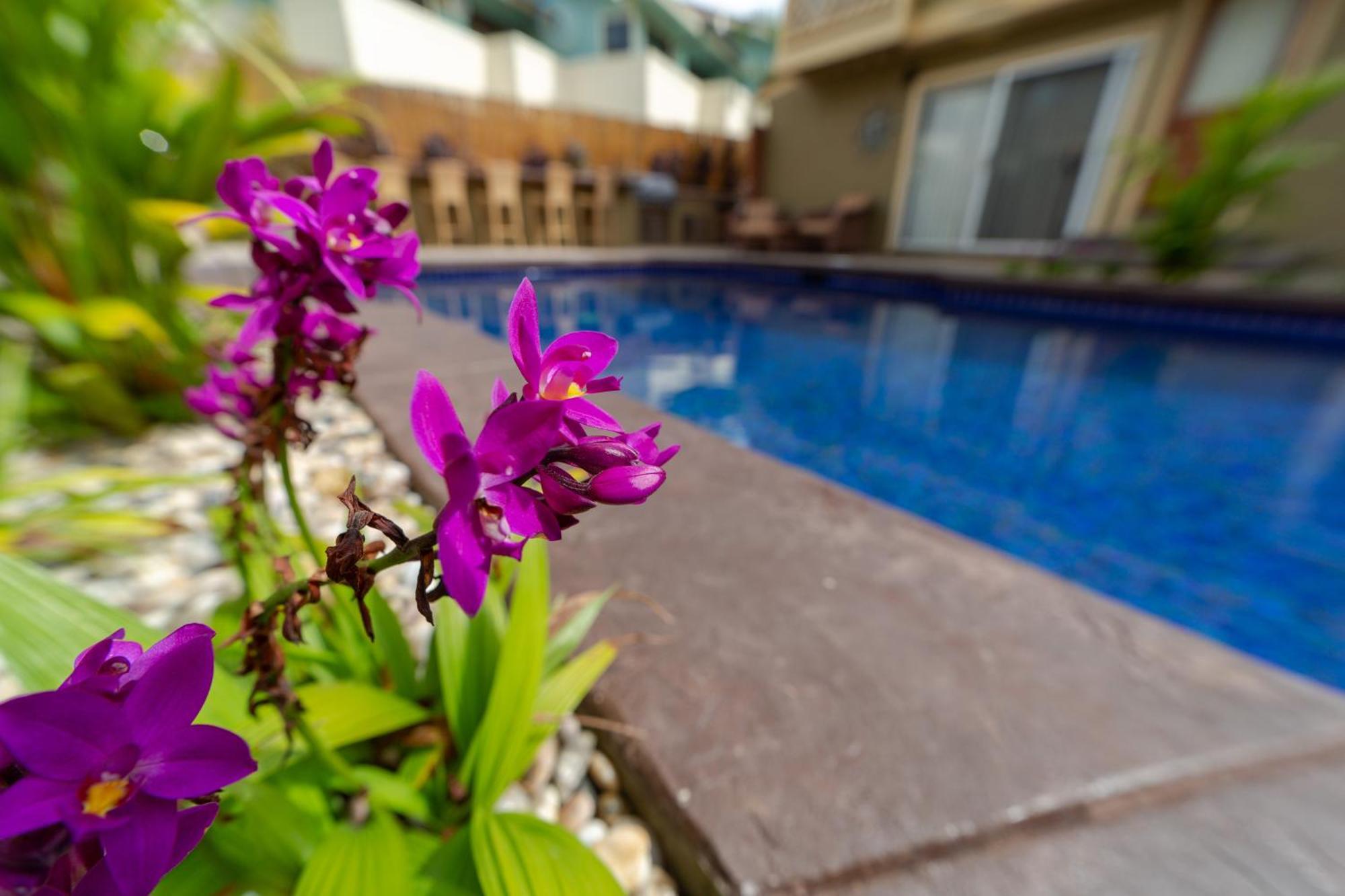 Bamboo Suite, 1 Bedroom, Sleeps 4, Pool & Bbq, Pre-Renovation Summer Sale キヘイ エクステリア 写真